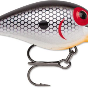 Storm Wiggle Wart 2″ 3-8 Tennessee Shad