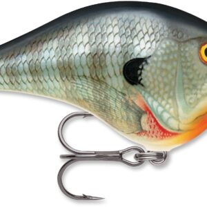 Rapala DT Series 6′ 3-8 2″ Bluegill