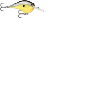 Rapala DT Series 6′ 3-8 2″ Old School