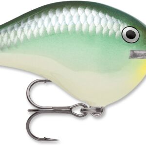 Rapala DT Series 3-8 2″ Blue Back Herring