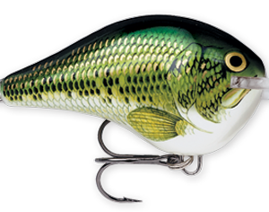 Rapala DT Series 10′ 3-5oz 2.25in Baby Bass