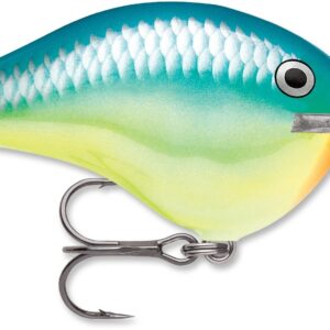 Rapala DT Series 10′ 3-5oz 2.25in Caribbean Shad