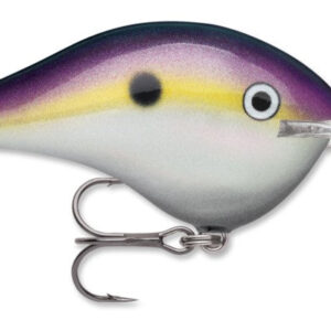 Rapala DT Series 3-4 Big Shad