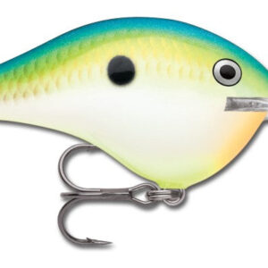 Rapala DT Series 3-4 Citrus Shad