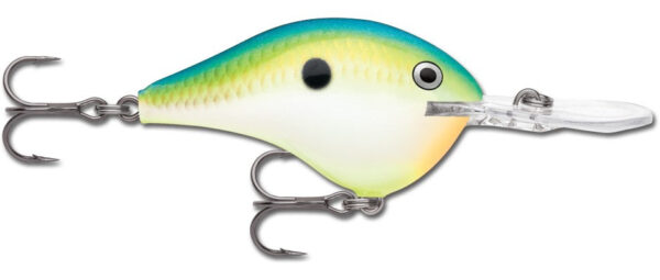 Rapala DT Series 3-4 Citrus Shad