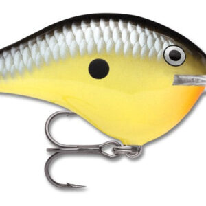 Rapala DT Series 16′ Ike-Old School