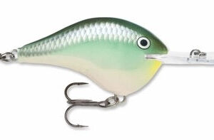 Rapala DT 20′ Series Blue Back Herring