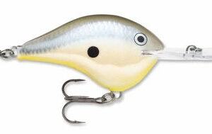 Rapala DT 20′ Series Disco Shad