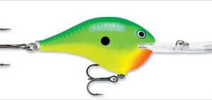 Rapala DT 20′ Series Rasta