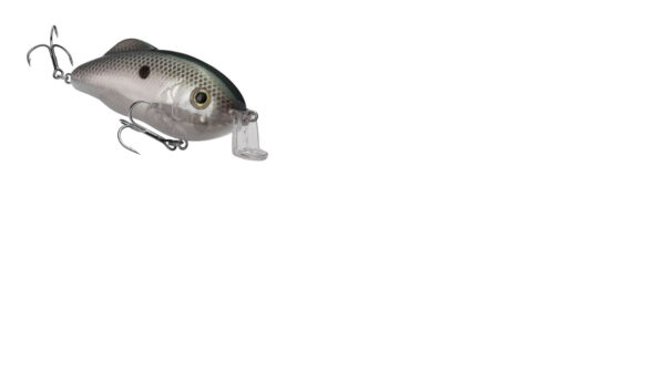 Strike King Hybrid Hunter Jr Shallow 7-16oz 3in Green Gizzard Shad