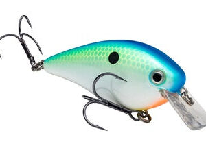 Strike King KVD Square Bill 5-8oz Citrus Shad