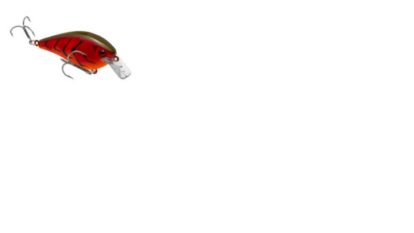 Strike King KVD Square Bill 5-8oz Fire Craw