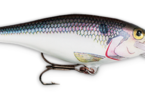 Rapala Shad Rap 2″ 3-16 Shad 6