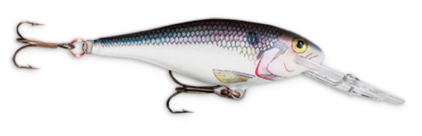 Rapala Shad Rap 2" 3-16 Shad