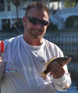 Troy Mangrove Snapper